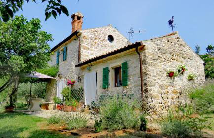 Cottage Casa Vinela - Foto 16