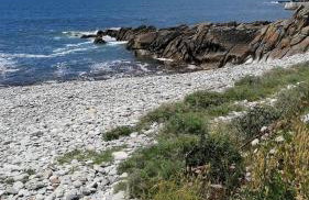 Maison jardin bord de mer Bretagne authentique - Foto 24