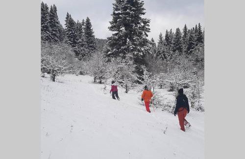 Elati Hills - Photo 46