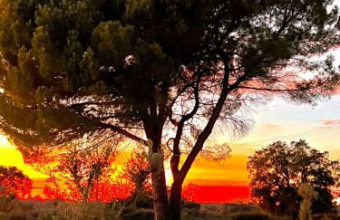 Monte da Aferrada - Casas do Monte - Foto 42