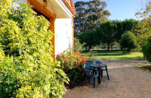 Casas Herdade do Convento da Serra - Foto 19