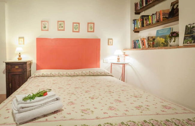 Verdidea - Podere Contignano - Photo 12