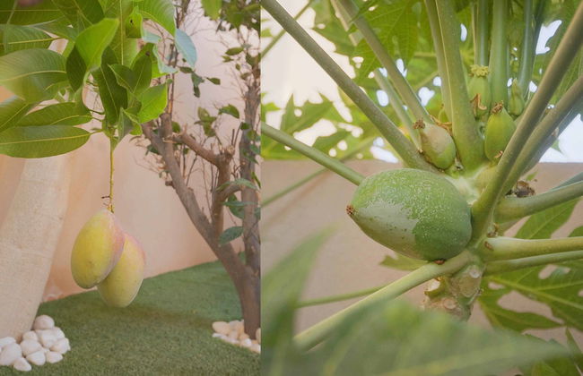 My Island Escape - Foto 78