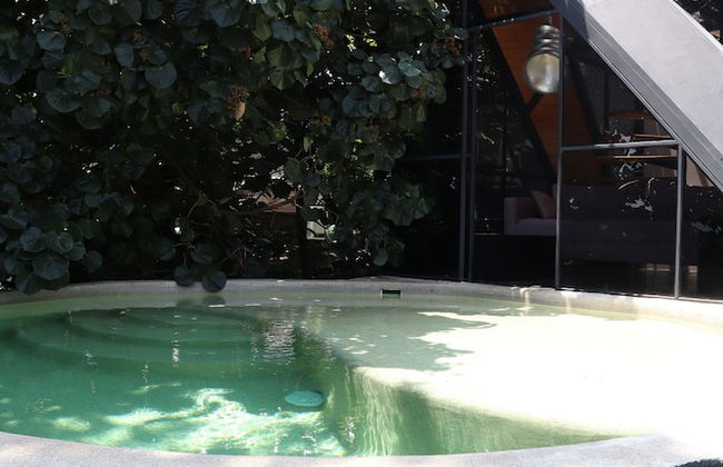 Bosque Geométrico - Foto 67