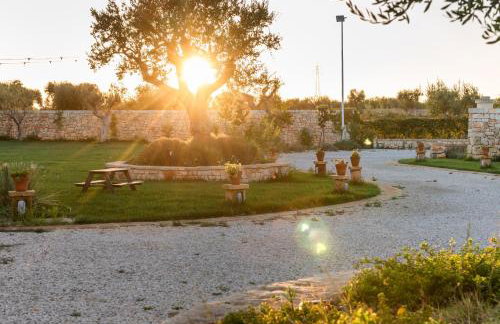WePuglia - TERRATERRA - Masseria Minunni - Photo 51