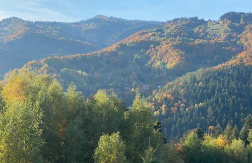 Chata na Łazach - Foto 17