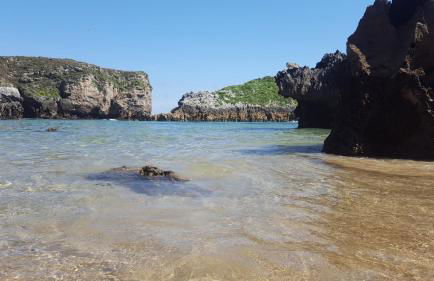 LA CASONA Encanto Rural - ApartaHotel SPA Llanes - Foto 19