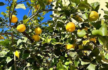 Appartamento Albatros - Foto 3