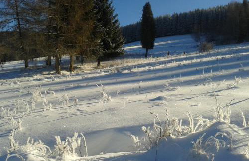 Górska Polana, Stronie Śląskie - Młynowiec - Foto 43