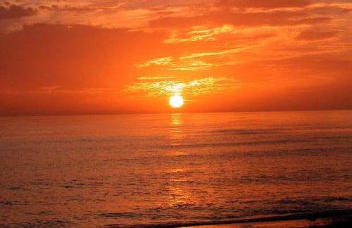 Close to Siesta Key, Shopping, Restaurants & More! - Foto 23