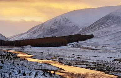 The Burnside Apartment - Foto 20