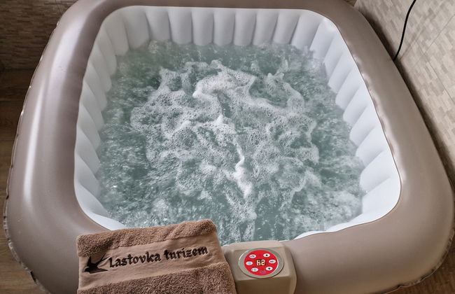 Vineyard cottage Vinska grajska kašča - Foto 24