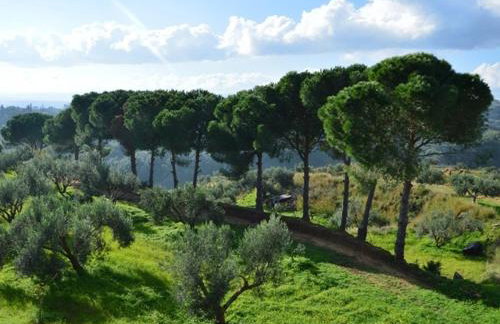 Koukounaries Studios - Foto 56