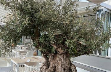 Appartement Vila Fajen - Foto 33