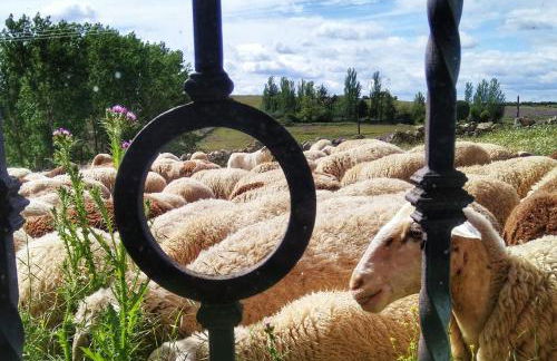 Casa rural Quevedo - Foto 27