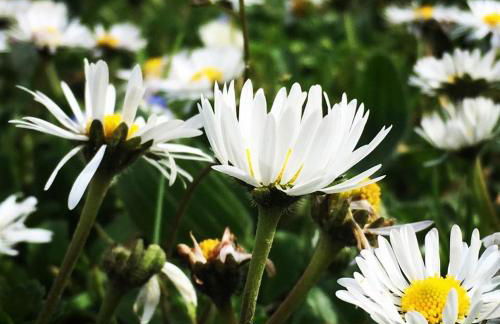 La Collina Degli Ulivi - Foto 28