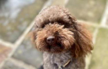 The Bakehouse - Foto 43