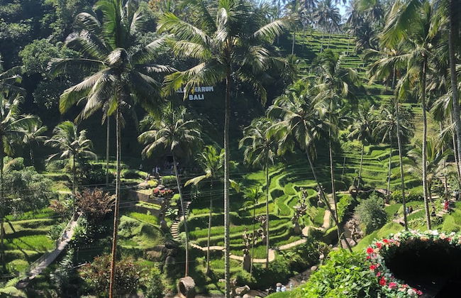 Dana's Place Private Villa - Photo 40