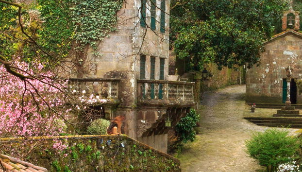 Visita guiada pelo Pazo do Faramello