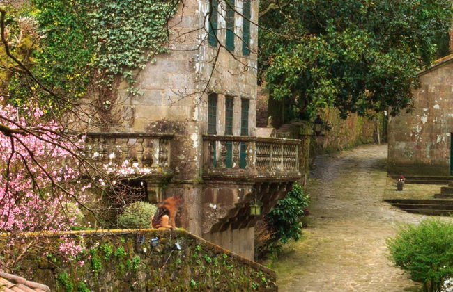 Visita guiada pelo Pazo do Faramello - Foto 4