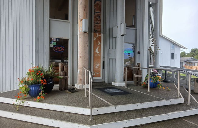 The Grey Gull - Foto 1