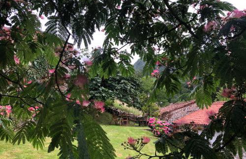 HdeC Hosteria de Castañeda Alojamiento Turistico - Foto 35