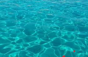 San Pasquale Beach House - Santa Teresa Gallura - Foto 8