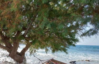 cottage du soleil - Foto 9