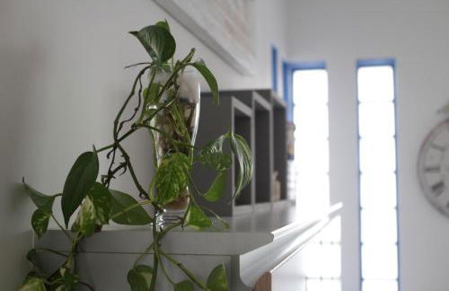 Sapore Di Mare - Foto 37