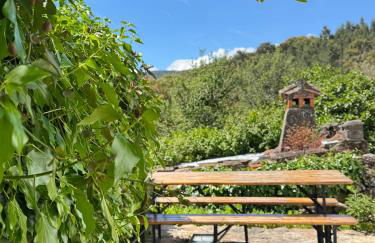 Casa Com Mãos - Foto 51