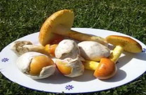 Naturaleza, Confort y Magnificas vistas a Sierra de Gata TR-CC-00490 - Foto 26