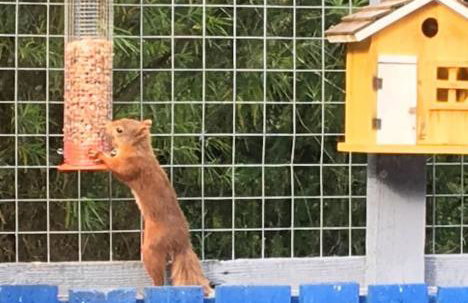 Upper Corronich - Foto 16