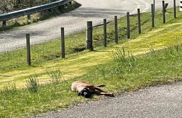 Loch Morar Private Suite - Foto 43