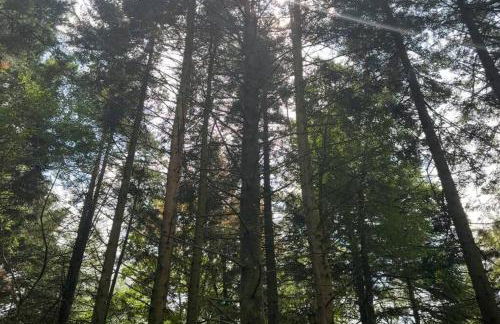 Le Perchoir Gîte de charme dans château -SPA- - Foto 37