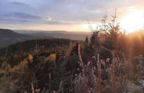 Ferienwohnung Schwarzwaldblick - Photo 42