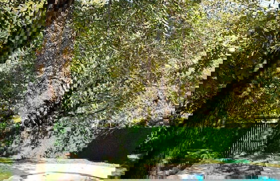 Sapanca Bungalow Otelleri - Foto 10