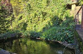 Ferreirinha Valley - Foto 7