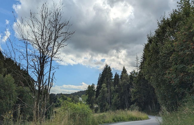 Apartment mit Balkon Nahe am Erlebnisberg Kappe - Foto 32