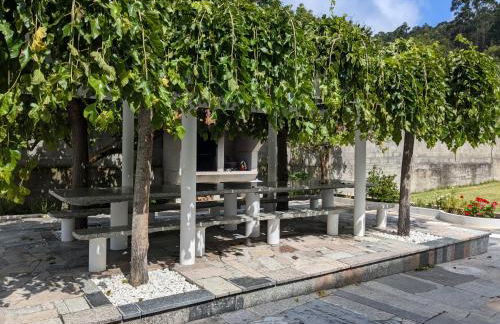 Bolboreta Nigrán - Foto 6