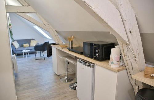 Emplacement 5 étoiles Charme historique centre Joigny 4 pers Zen 3 - Foto 7