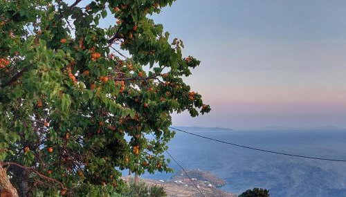 Vlami's House Andros - Foto 5