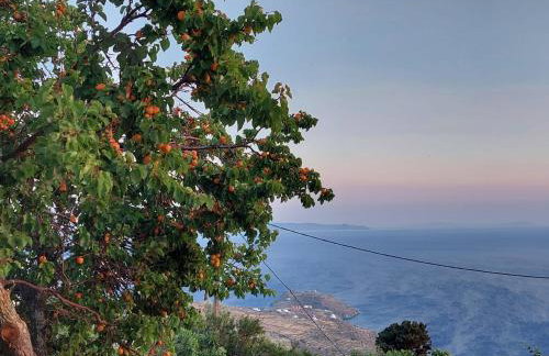 Vlami's House Andros - Foto 5