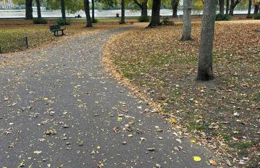 Large Putney Oasis 3-Bed with Garden & Parking - Foto 20