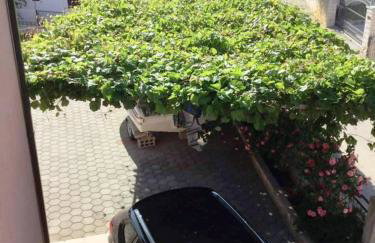 Apartments Antea - Photo 66