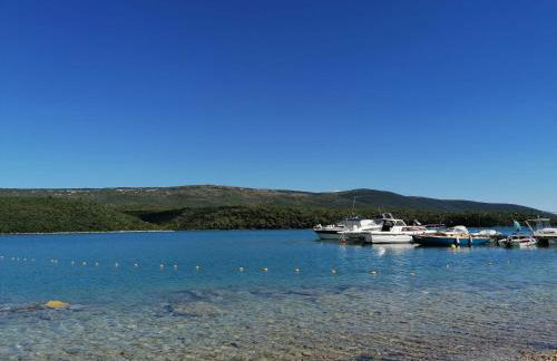 Apartmenthaus Viktoria - Foto 10