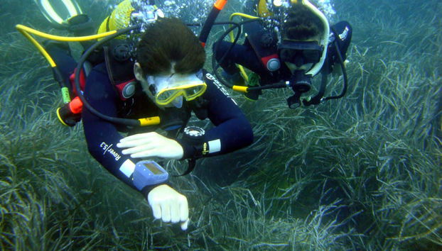 Durante la prueba de orientación