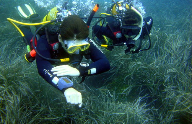 Curso de buceo PADI Open Water en Ciudadela - Foto 1