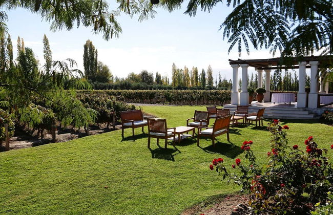 Tour privato delle cantine di Luján de Cuyo - Foto 5