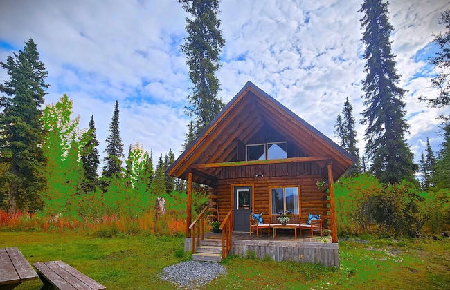 Avens Alaska - Foto 44