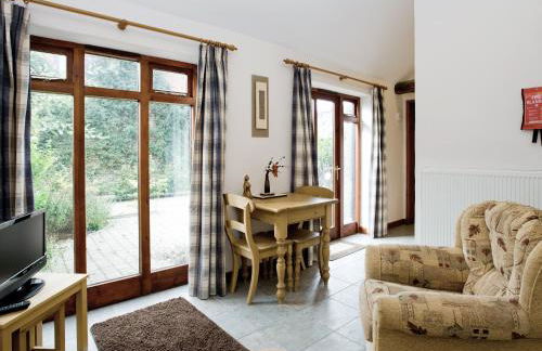 Thyme - E4485 - Foto 1